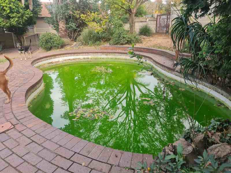 pool reling roodepoort